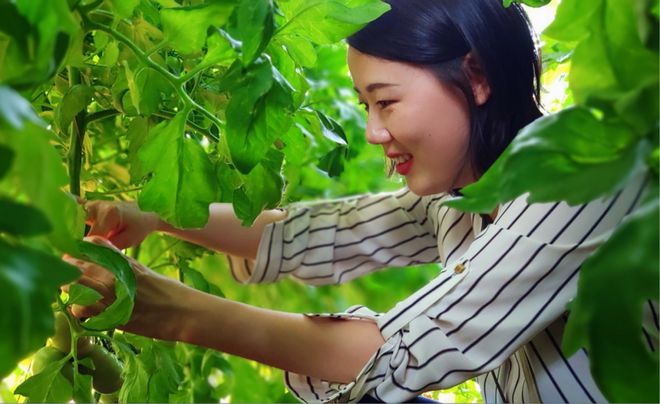 西咸新区的“繁花”故事(图5) 西咸新区的“繁花”故事(图5)