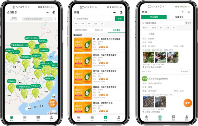 西咸新区的“繁花”故事(图6) 西咸新区的“繁花”故事(图6)